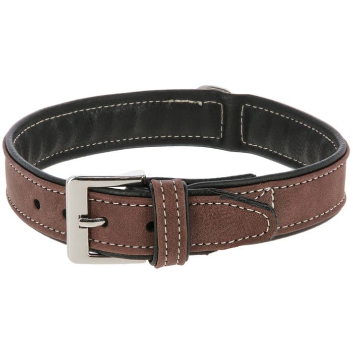 Halsband California | 32-64 cm