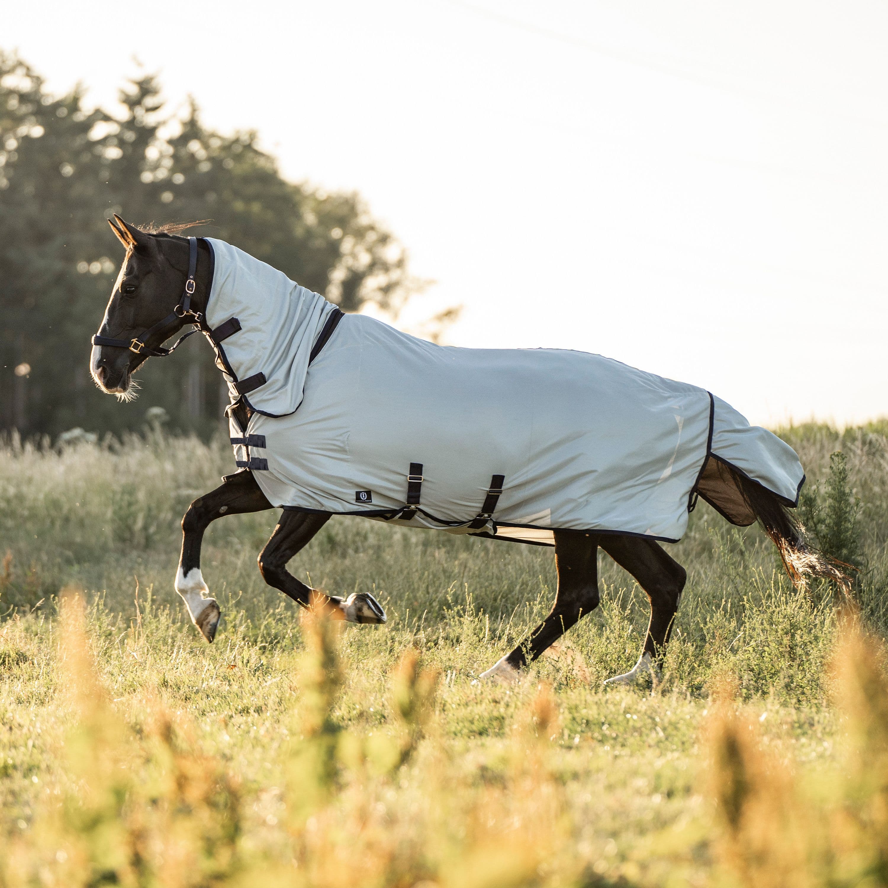 Flugtäcke Reese | 75-165 cm