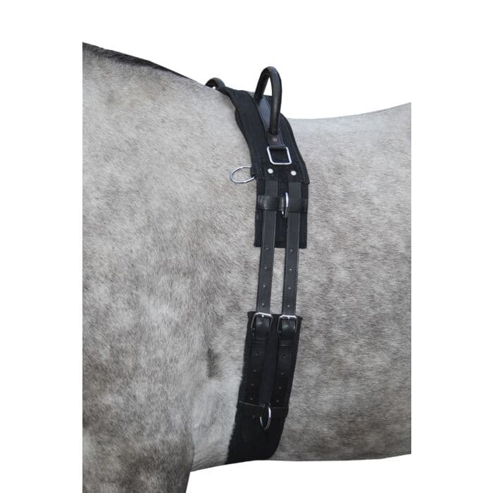 Barbackagjord Canvas | Minishetland-Full