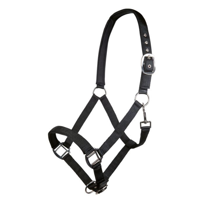 Nylongrimma Charming | Ponny-XF