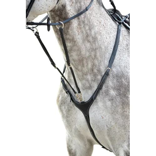 Förbygel Fazzino | Ponny