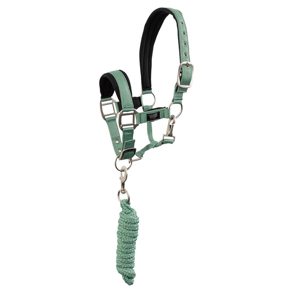 Nylongrimma set Mini | Shetland-Cob