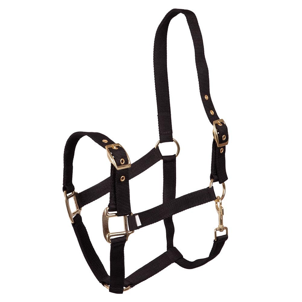 Nylongrimma | Ponny-Full