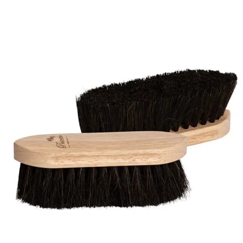 Dandyborste Tagel