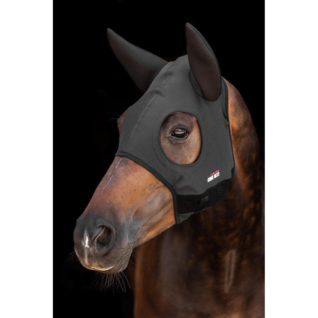 Titanium Mask | Cob-XF