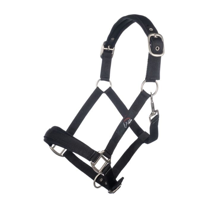 Nylongrimma Samantha | Ponny-Cob