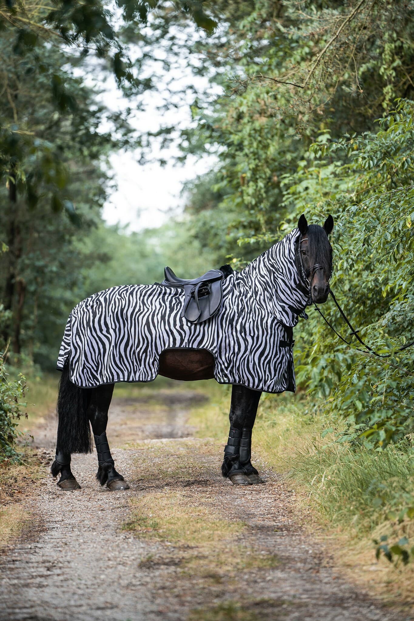 Ridflugtäcke Zebra | 95-165 cm