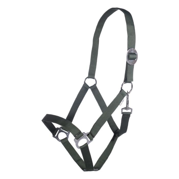 Nylongrimma Stars Economy | Ponny-XF