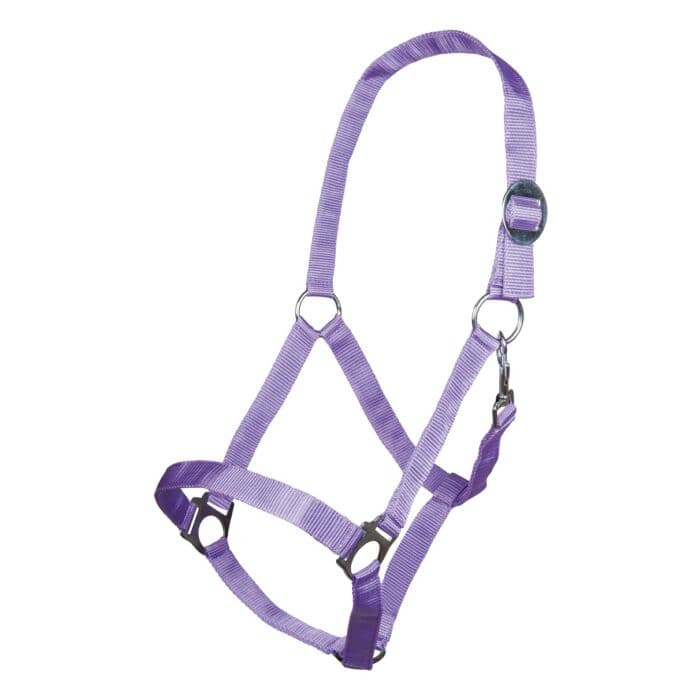 Nylongrimma Stars Economy | Ponny-XF