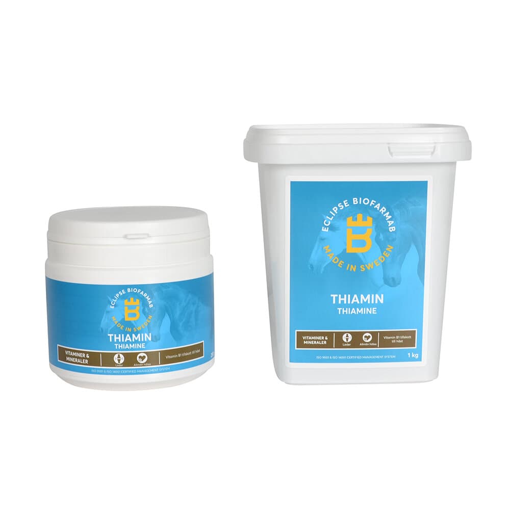 Thiamin | 350g - 1kg