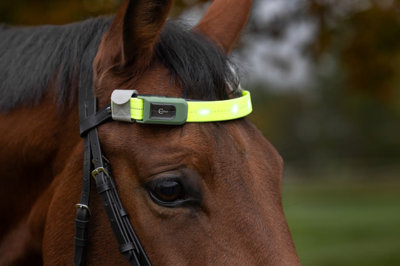 LED-reflexpannband | One Size